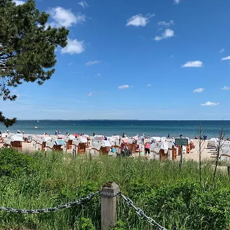 Little Dream Apartamento *